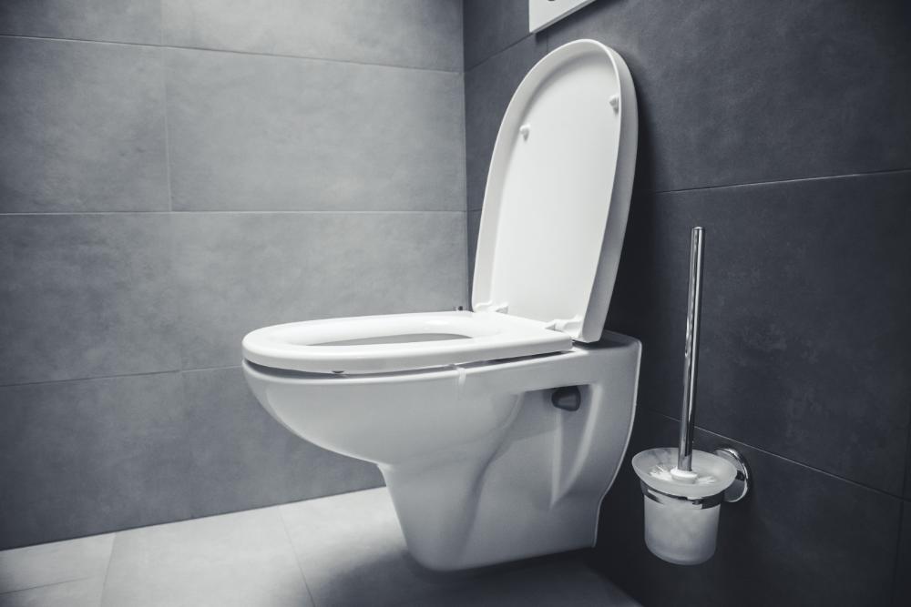 Remplacement sanitaire près de Soubise